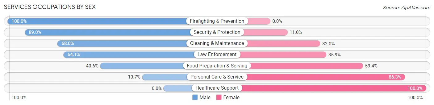 Services Occupations by Sex in Zip Code 29360