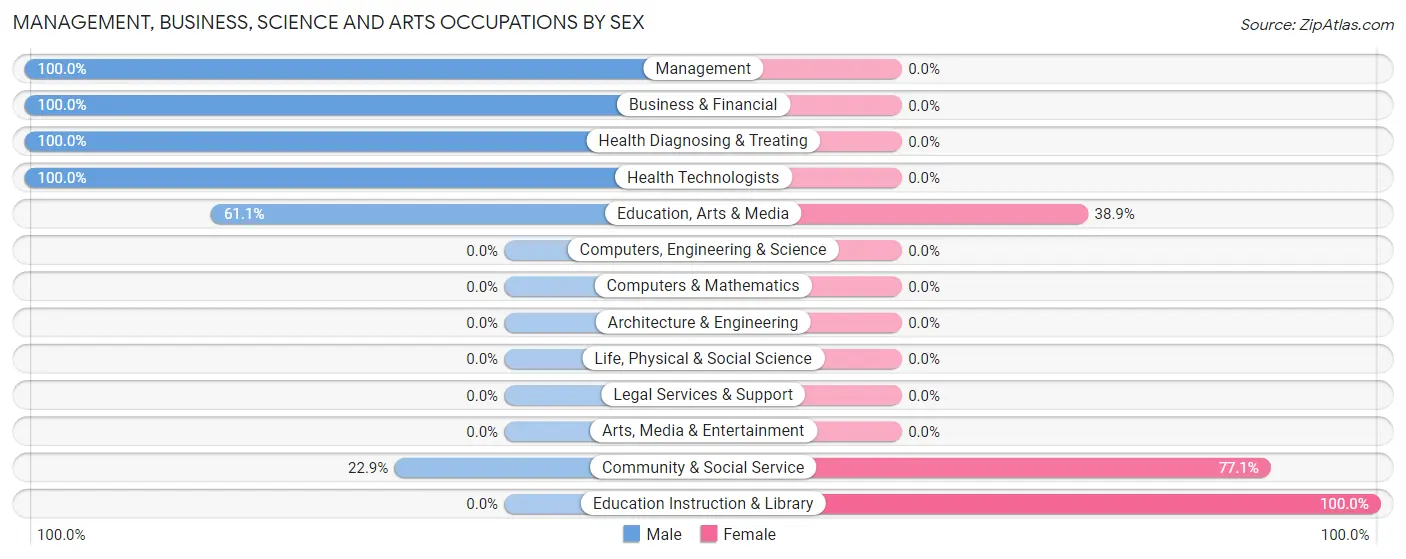 Management, Business, Science and Arts Occupations by Sex in Zip Code 29370