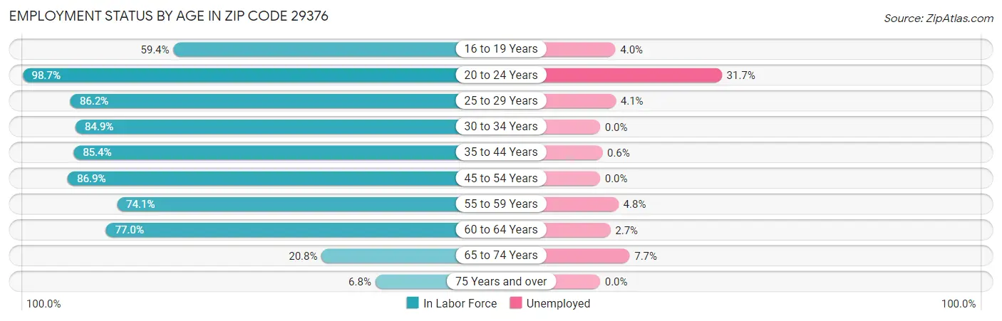 Employment Status by Age in Zip Code 29376
