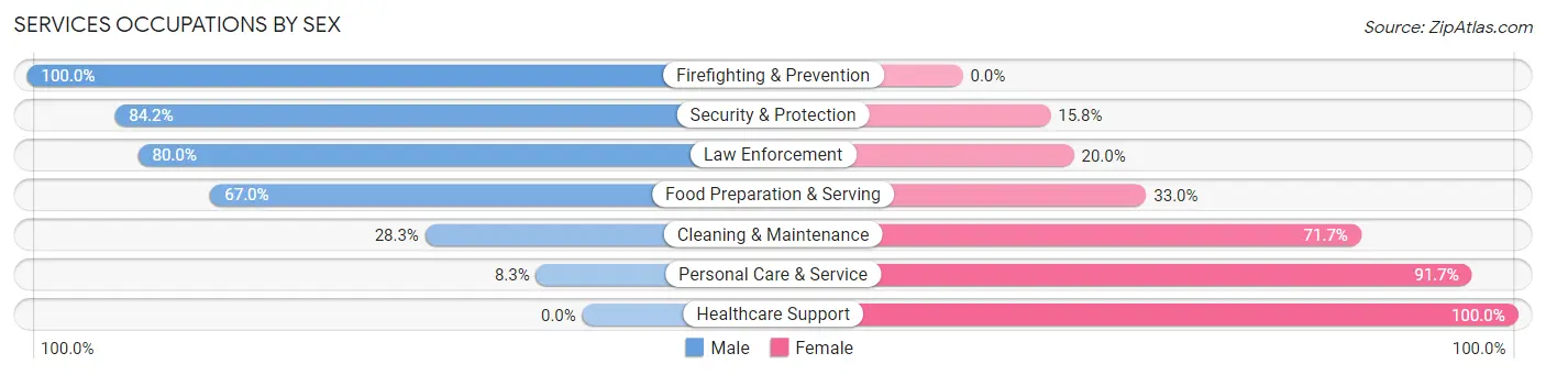 Services Occupations by Sex in Zip Code 29376