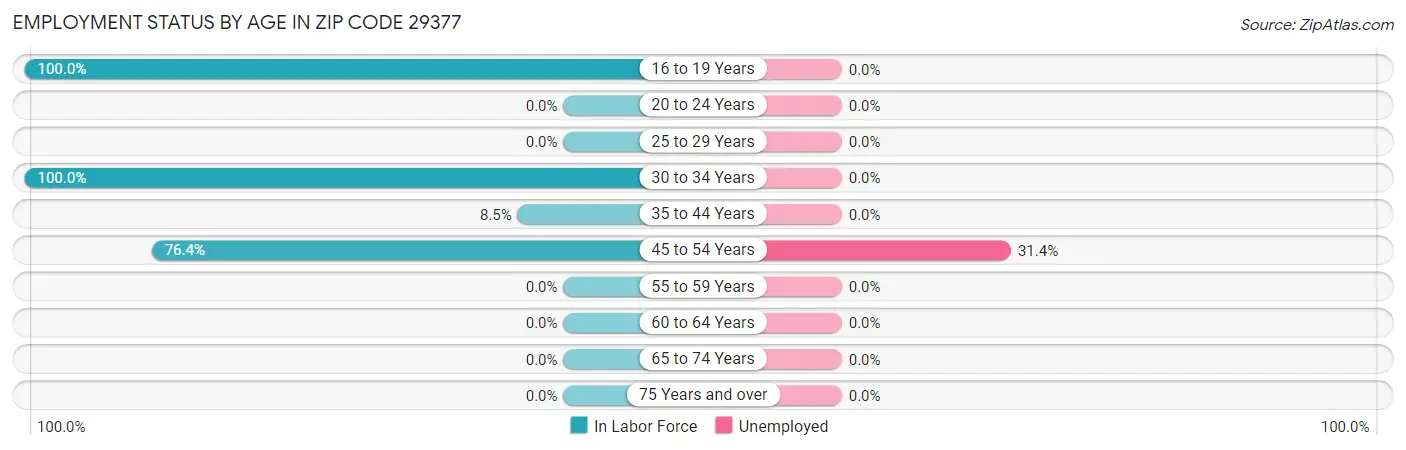 Employment Status by Age in Zip Code 29377