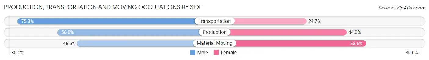 Production, Transportation and Moving Occupations by Sex in Zip Code 29379