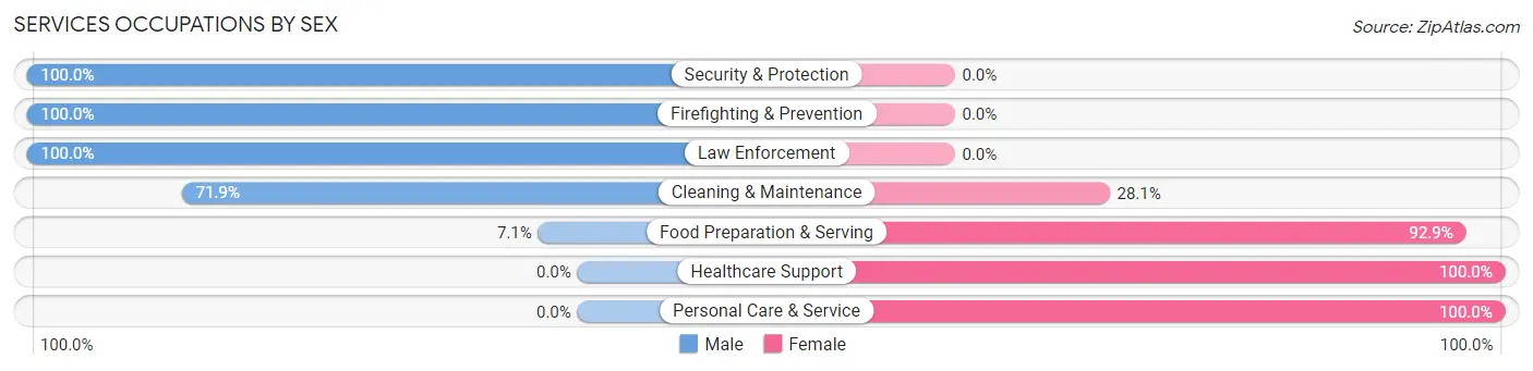 Services Occupations by Sex in Zip Code 29384