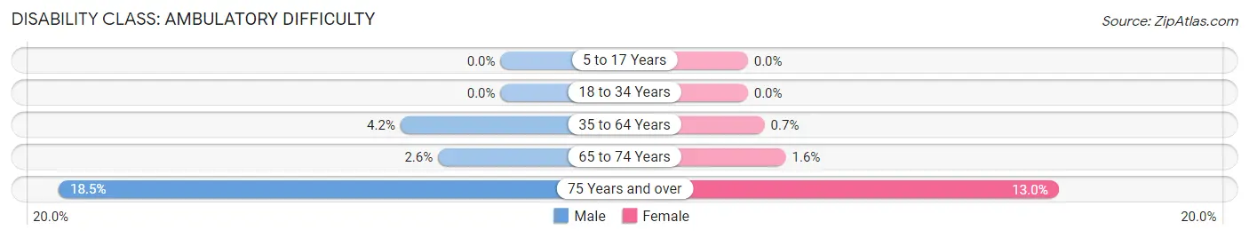 Disability in Zip Code 29401: <span>Ambulatory Difficulty</span>