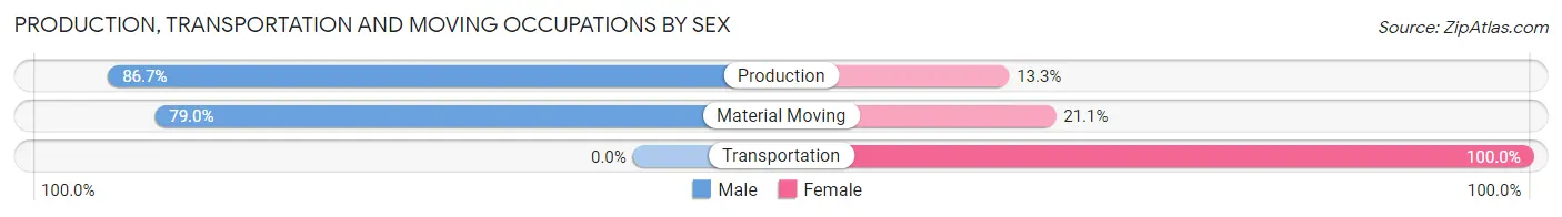 Production, Transportation and Moving Occupations by Sex in Zip Code 29404