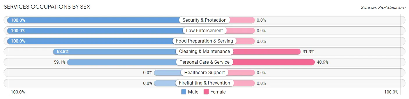 Services Occupations by Sex in Zip Code 29404