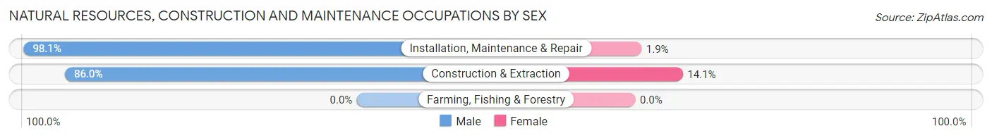 Natural Resources, Construction and Maintenance Occupations by Sex in Zip Code 29405
