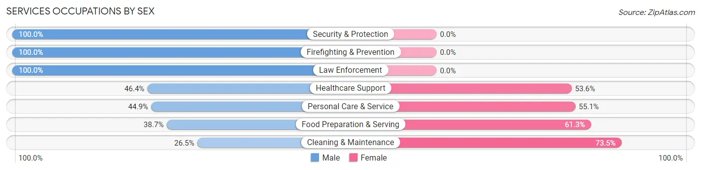 Services Occupations by Sex in Zip Code 29405