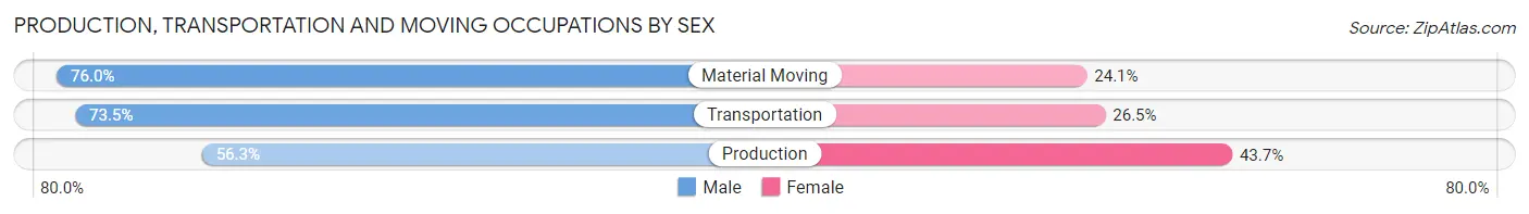 Production, Transportation and Moving Occupations by Sex in Zip Code 29406