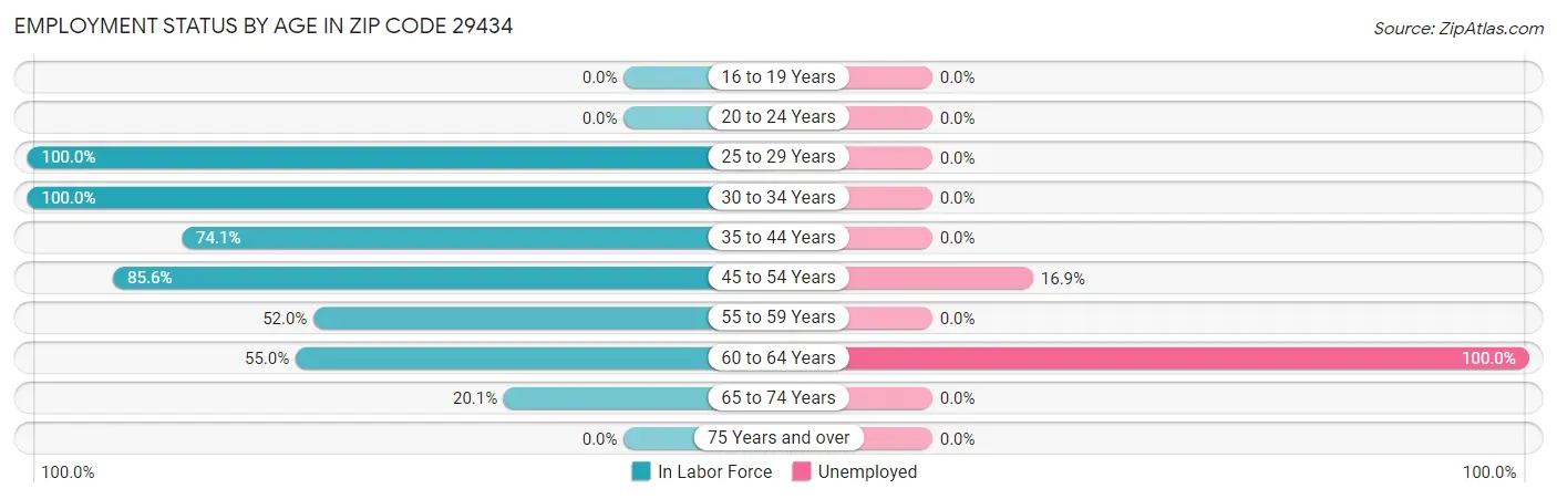 Employment Status by Age in Zip Code 29434