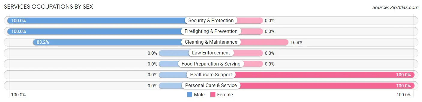 Services Occupations by Sex in Zip Code 29437
