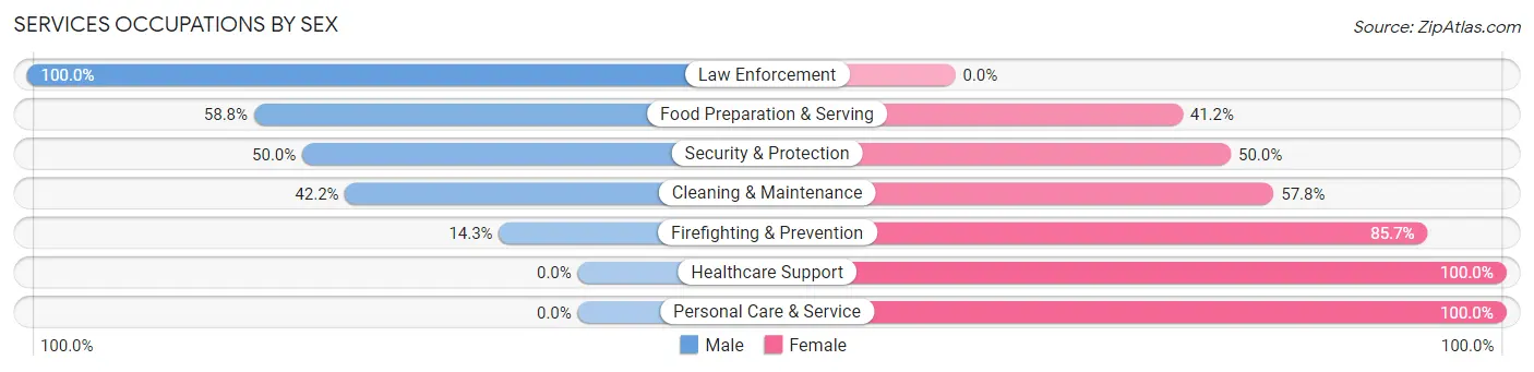 Services Occupations by Sex in Zip Code 29438
