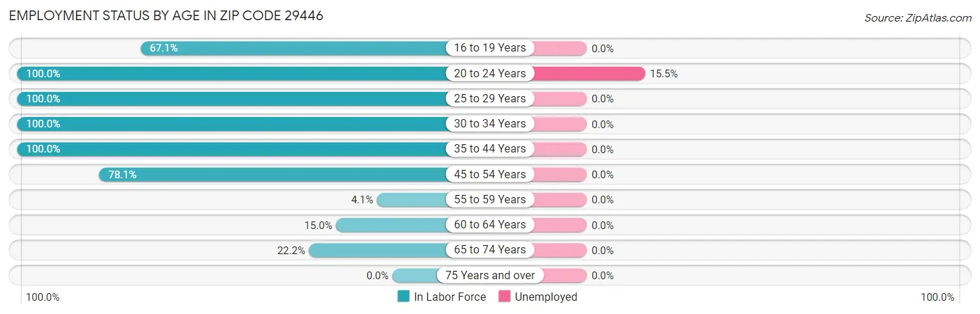Employment Status by Age in Zip Code 29446