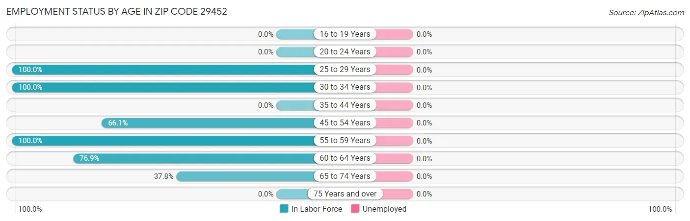 Employment Status by Age in Zip Code 29452
