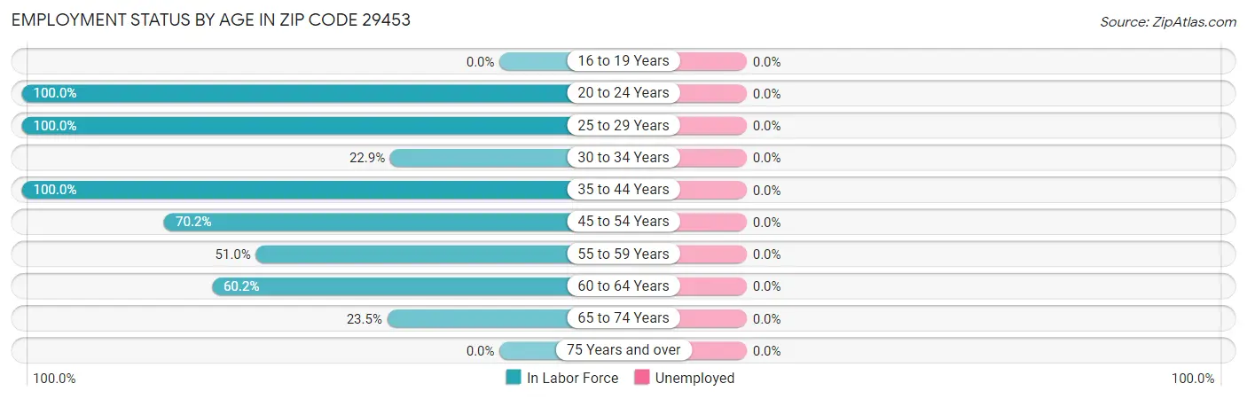 Employment Status by Age in Zip Code 29453