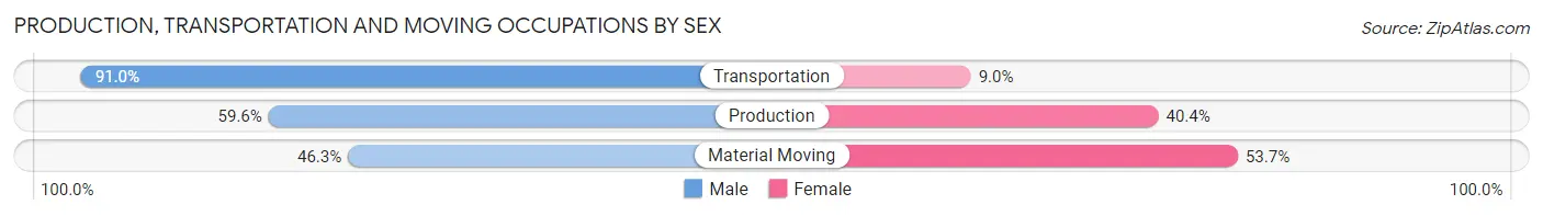 Production, Transportation and Moving Occupations by Sex in Zip Code 29455