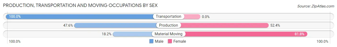Production, Transportation and Moving Occupations by Sex in Zip Code 29458