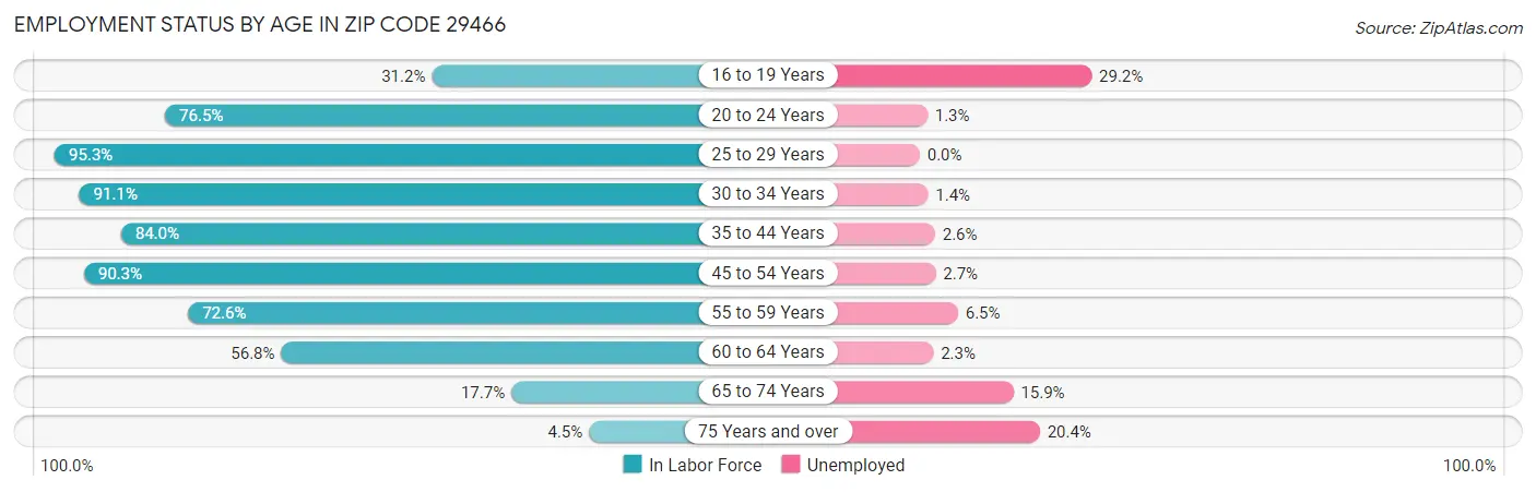 Employment Status by Age in Zip Code 29466