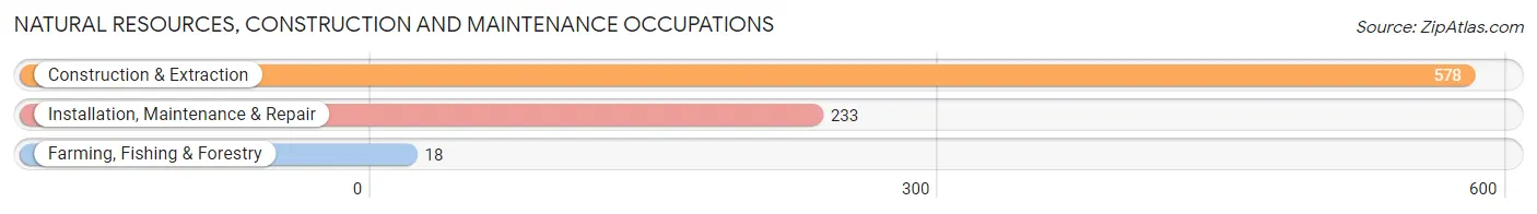 Natural Resources, Construction and Maintenance Occupations in Zip Code 29472