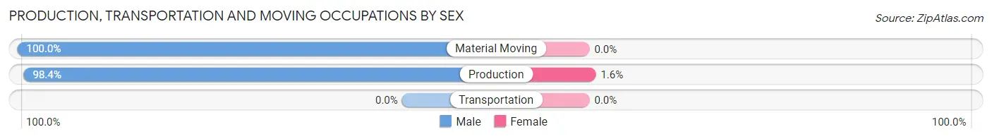Production, Transportation and Moving Occupations by Sex in Zip Code 29475