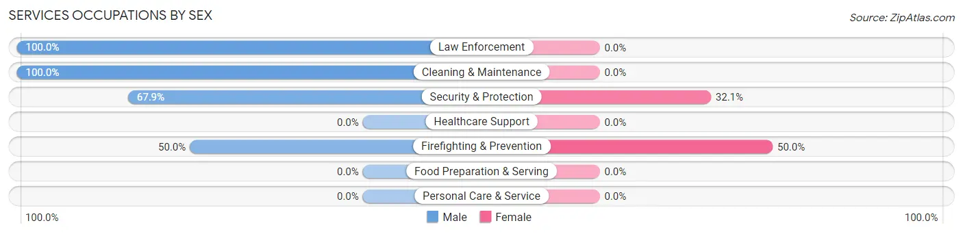 Services Occupations by Sex in Zip Code 29475