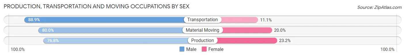 Production, Transportation and Moving Occupations by Sex in Zip Code 29477