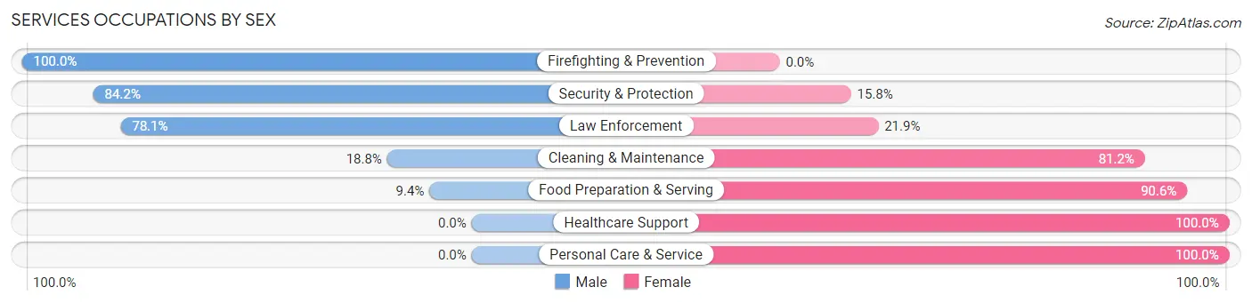 Services Occupations by Sex in Zip Code 29477