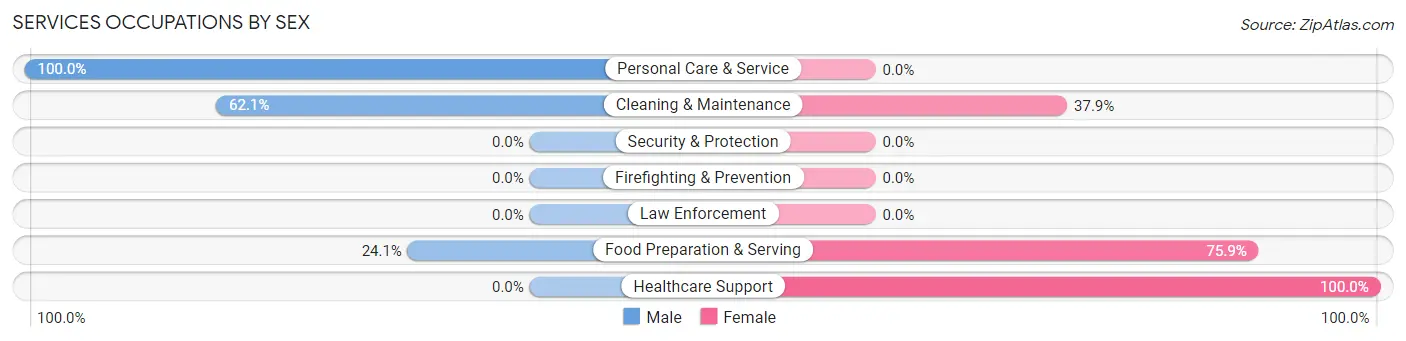Services Occupations by Sex in Zip Code 29481