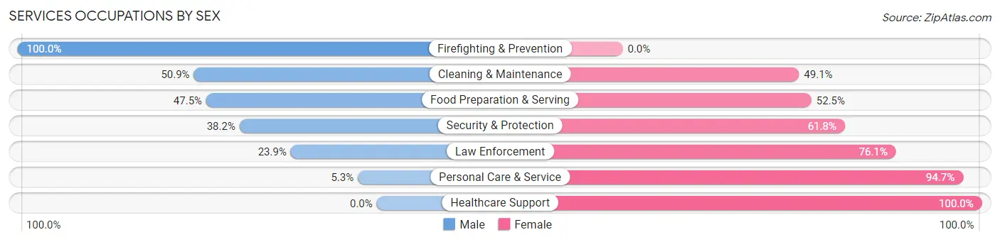 Services Occupations by Sex in Zip Code 29488