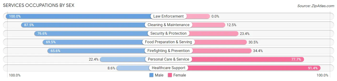 Services Occupations by Sex in Zip Code 29505