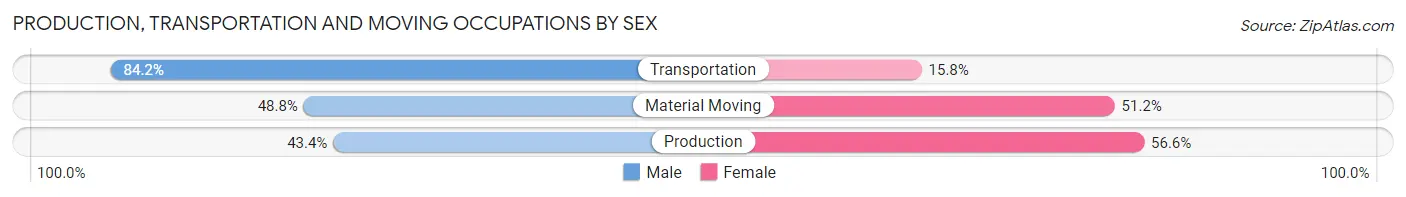 Production, Transportation and Moving Occupations by Sex in Zip Code 29506