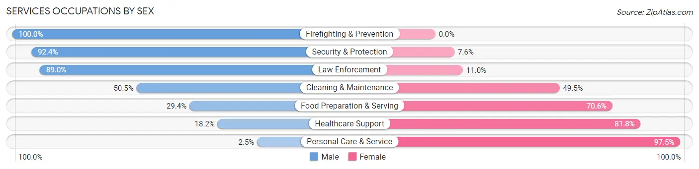Services Occupations by Sex in Zip Code 29506