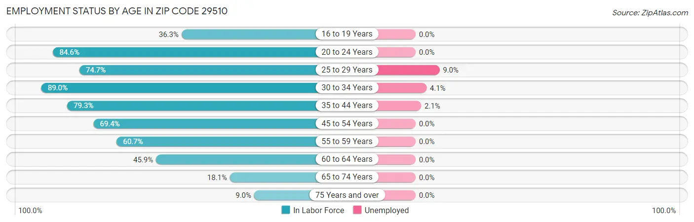 Employment Status by Age in Zip Code 29510