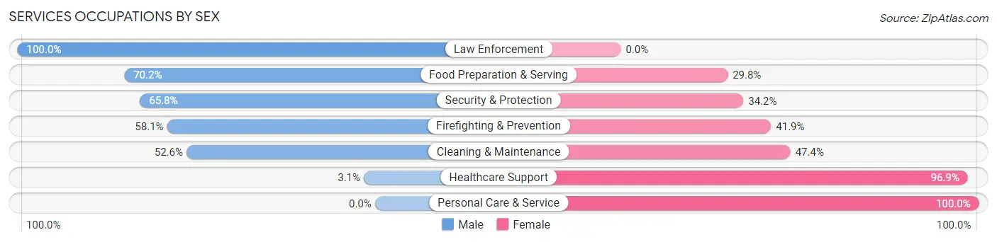 Services Occupations by Sex in Zip Code 29510