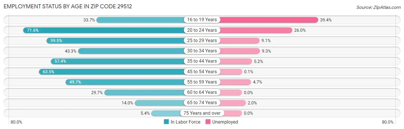 Employment Status by Age in Zip Code 29512