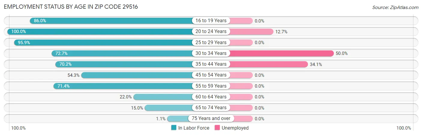 Employment Status by Age in Zip Code 29516