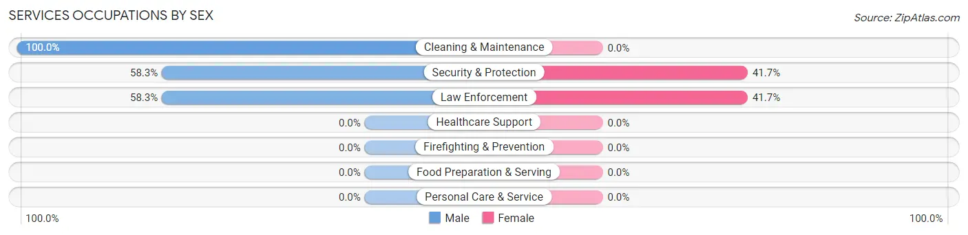 Services Occupations by Sex in Zip Code 29516