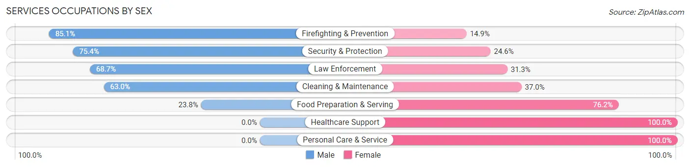 Services Occupations by Sex in Zip Code 29520