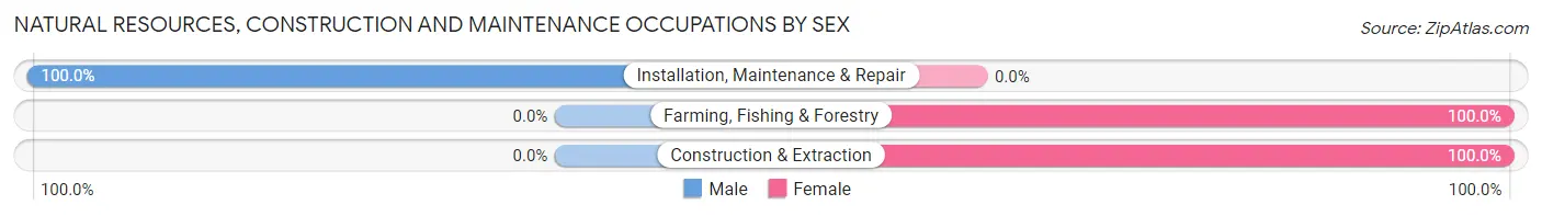 Natural Resources, Construction and Maintenance Occupations by Sex in Zip Code 29525