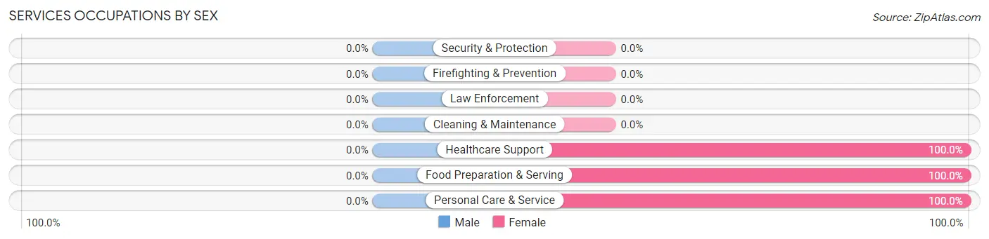Services Occupations by Sex in Zip Code 29525