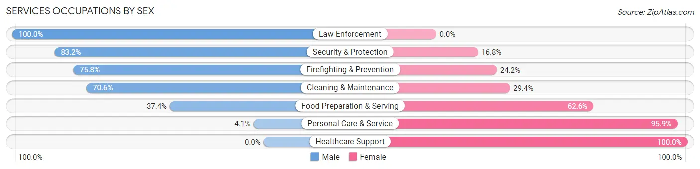 Services Occupations by Sex in Zip Code 29527
