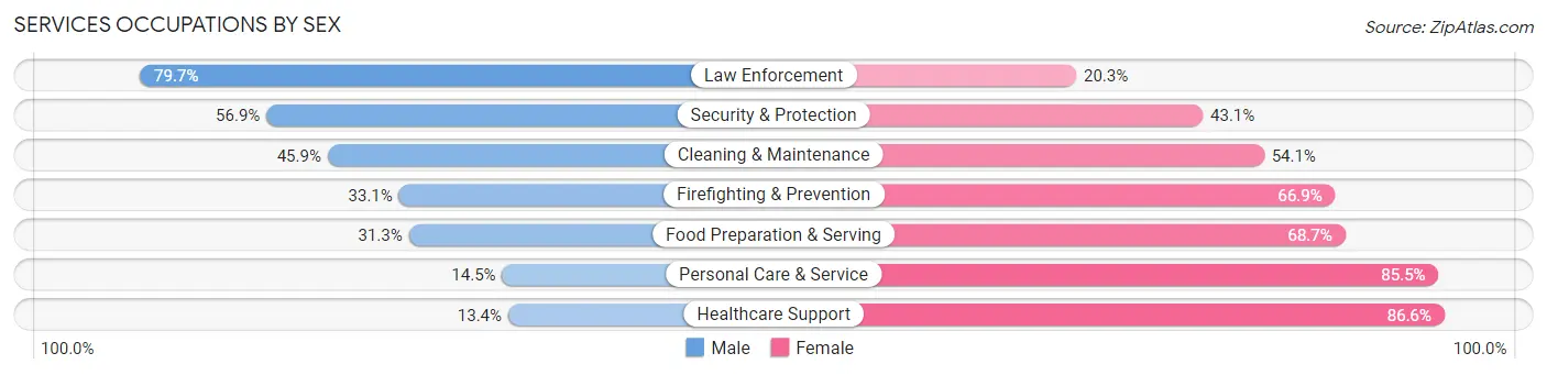 Services Occupations by Sex in Zip Code 29532