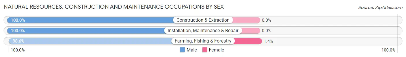 Natural Resources, Construction and Maintenance Occupations by Sex in Zip Code 29536