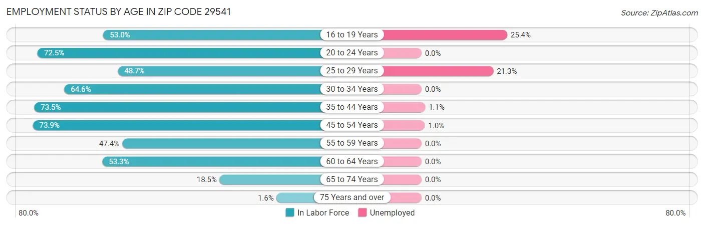 Employment Status by Age in Zip Code 29541