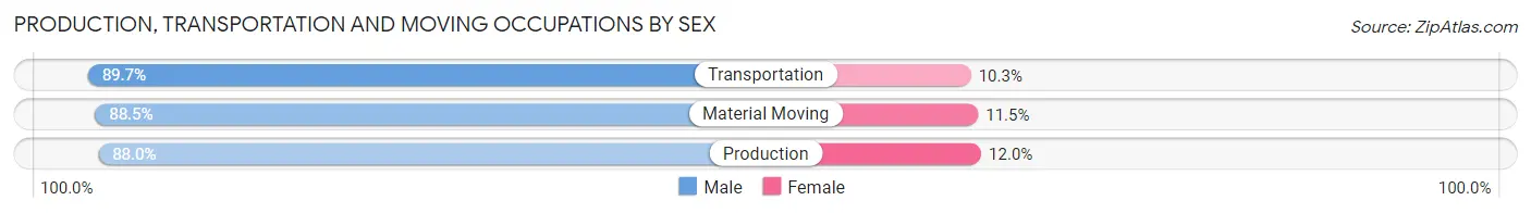 Production, Transportation and Moving Occupations by Sex in Zip Code 29541