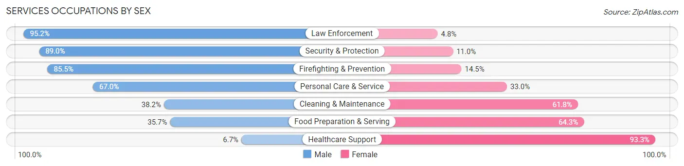 Services Occupations by Sex in Zip Code 29541