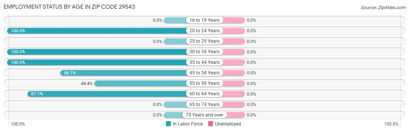 Employment Status by Age in Zip Code 29543