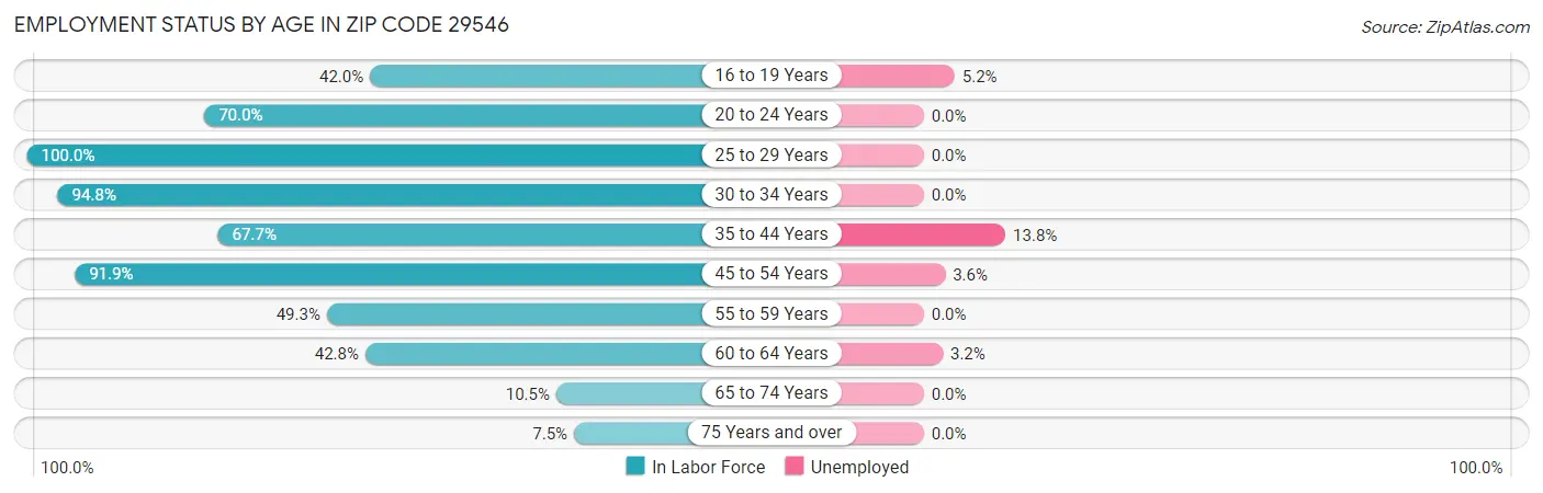Employment Status by Age in Zip Code 29546
