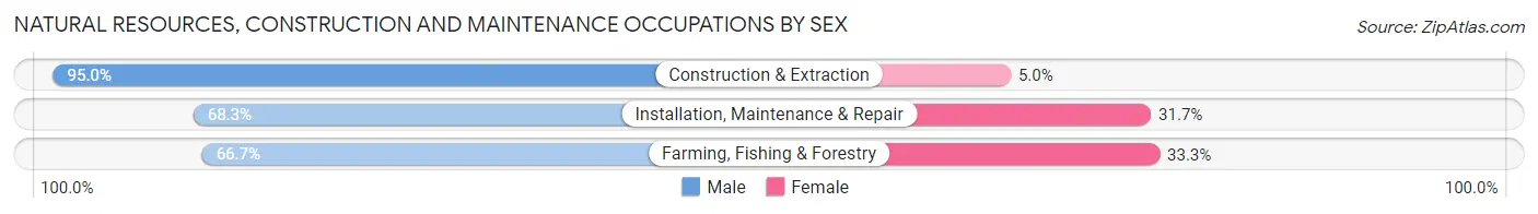 Natural Resources, Construction and Maintenance Occupations by Sex in Zip Code 29547