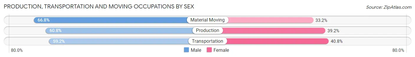 Production, Transportation and Moving Occupations by Sex in Zip Code 29554